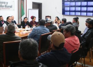 Acuerdan búsqueda de precios justos para productores de sorgo en la Mixteca poblana