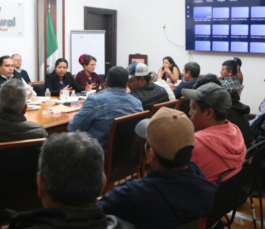 Acuerdan búsqueda de precios justos para productores de sorgo en la Mixteca poblana