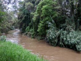 SEMARNAT destina 40.3 mdp para reforestación del Río Atoyac