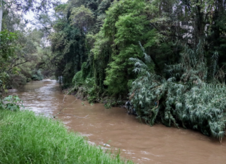 SEMARNAT destina 40.3 mdp para reforestación del Río Atoyac
