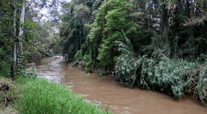SEMARNAT destina 40.3 mdp para reforestación del Río Atoyac