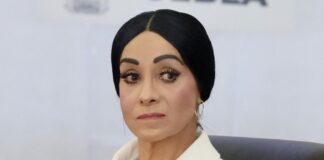 Titular de la CDH Puebla entregará informe a Comisión Permanente del Congreso