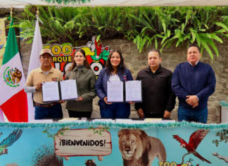 San Andrés Cholula firma convenio para emergencias con animales