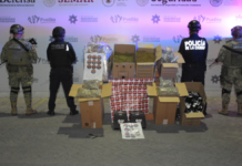 SSC asegura más de 40 kilos de marihuana en La Paz