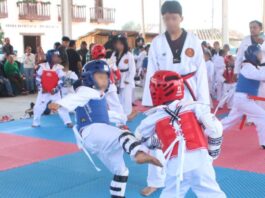 Niñas y niños de Zacatlán realizan examen de cambio de cinta en Taekwondo
