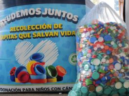 BUAP ayudará a evitar que en 2050 haya más plástico que peces en los mares