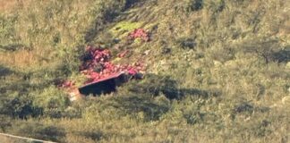 Camión cae a barranco de casi 30 metros en la Puebla-Orizaba