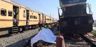 Tren de pasajeros arrolla y mata a siete elefantes en India