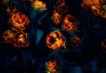 Instalarán jardines pluriculturales bajo puentes del Periférico Ecológico