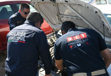 UCIPS capacita a policías en detección de vehículos robados