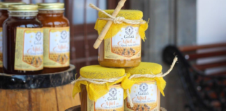 Zacatlán fue sede del encuentro nacional de apicultores