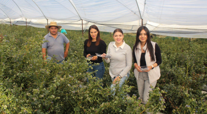 Zacatlán instala 2 geomembranas para productores en Xoxonacatla