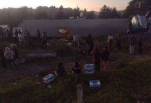 Volcadura de tractocamión provoca cierre y rapiña en la Puebla-Orizaba