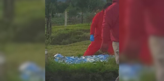 Muere una persona en accidente en la carretera Zacatlán–Chignahuapan