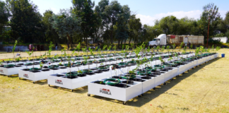 Texmeluquenses reciben apoyos de huertos y granjas de traspatio