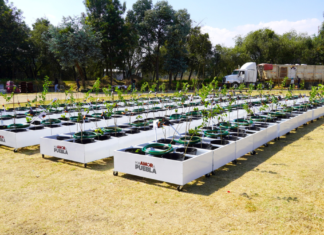 Texmeluquenses reciben apoyos de huertos y granjas de traspatio