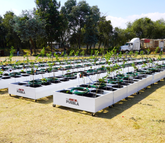 Texmeluquenses reciben apoyos de huertos y granjas de traspatio