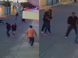 Intento de asalto en Bosques de Manzanilla deja dos heridos de bala