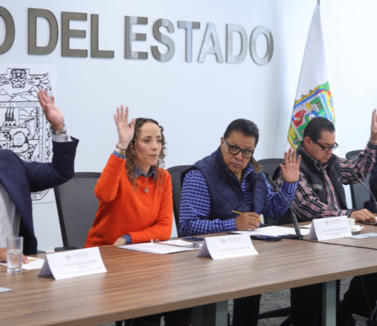 Avalan exhorto para verificar básculas durante temporada decembrina