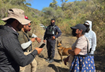 Gobierno de Puebla mantiene búsqueda de Nemecio Herrera