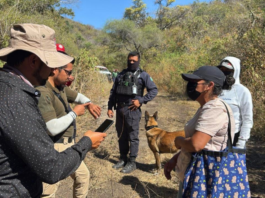 Gobierno de Puebla mantiene búsqueda de Nemecio Herrera