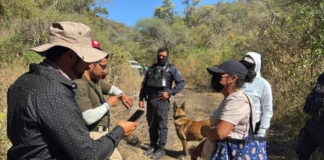 Gobierno de Puebla mantiene búsqueda de Nemecio Herrera