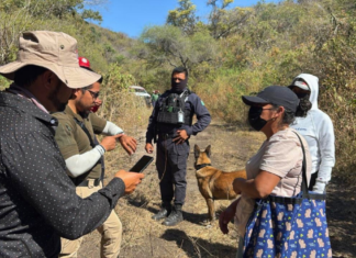 Gobierno de Puebla mantiene búsqueda de Nemecio Herrera