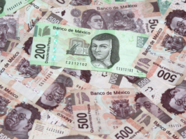 Dos implicados en la ‘Estafa Maestra’ deberán pagar 62.8 mdp