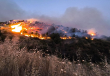 Puebla y Tlaxcala cerraron el año con 396 incendios forestales atendidos
