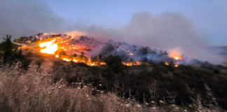 Puebla y Tlaxcala cerraron el año con 396 incendios forestales atendidos