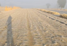 Municipios en faldas del Citlaltépetl amanecen cubiertos de hielo por heladas