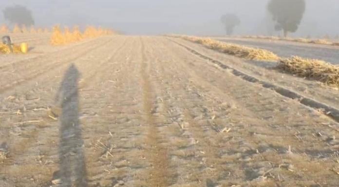 Municipios en faldas del Citlaltépetl amanecen cubiertos de hielo por heladas