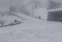 Cae primera nevada de la temporada en el Cofre de Perote