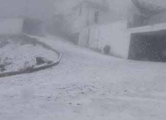 Cae primera nevada de la temporada en el Cofre de Perote