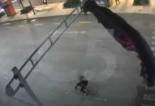 Paracaidista estadounidense se atora en semáforo de la CDMX