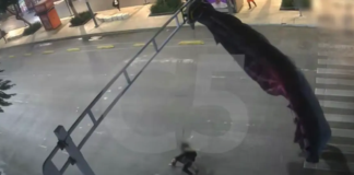 Paracaidista estadounidense se atora en semáforo de la CDMX