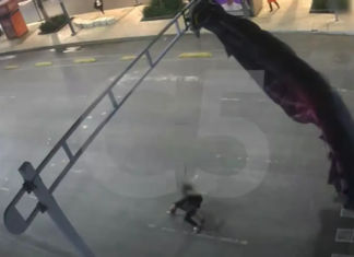 Paracaidista estadounidense se atora en semáforo de la CDMX