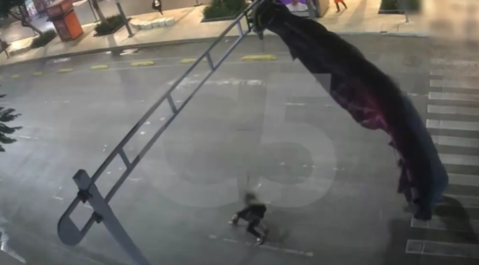 Paracaidista estadounidense se atora en semáforo de la CDMX