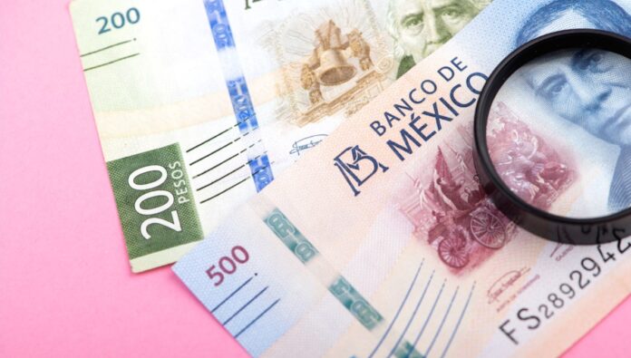 pensión alimenticia Dinero