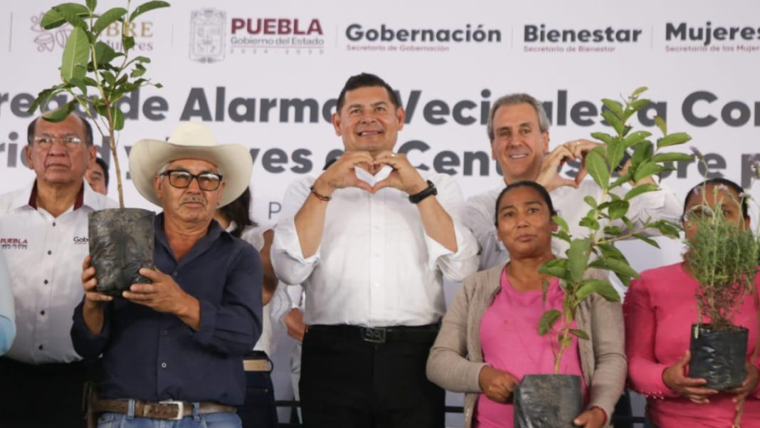 Puebla trabaja en la reforestación y recuperación de áreas naturales ...