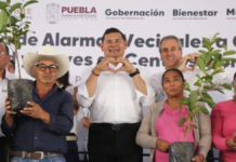 Puebla trabaja en la reforestación y recuperación de áreas naturales