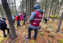 Gobierno del Estado coordina rescate en el Citlaltépetl