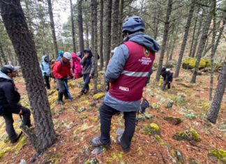 Gobierno del Estado coordina rescate en el Citlaltépetl