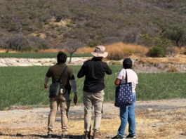Hallan restos humanos cerca de un campo de tiro en Agua Dulce