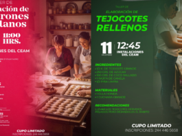 Ariadna Ayala ofrece talleres decembrinos gratuitos para mujeres