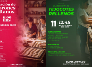 Ariadna Ayala ofrece talleres decembrinos gratuitos para mujeres