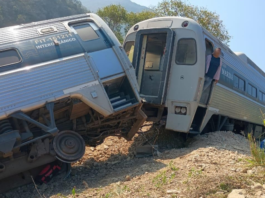 Tren Interoceánico se descarrila en Oaxaca; reportan 15 lesionados