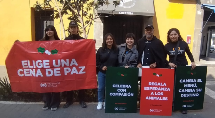 Activistas promueven un menú navideño vegano en Puebla