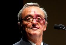 Eliminan cáncer de páncreas en ratones por primera vez