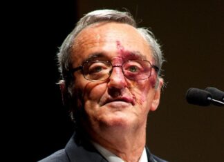 Eliminan cáncer de páncreas en ratones por primera vez